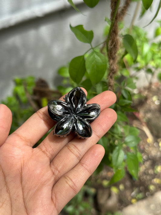 படலம் சிறிய தாவரங்கள்