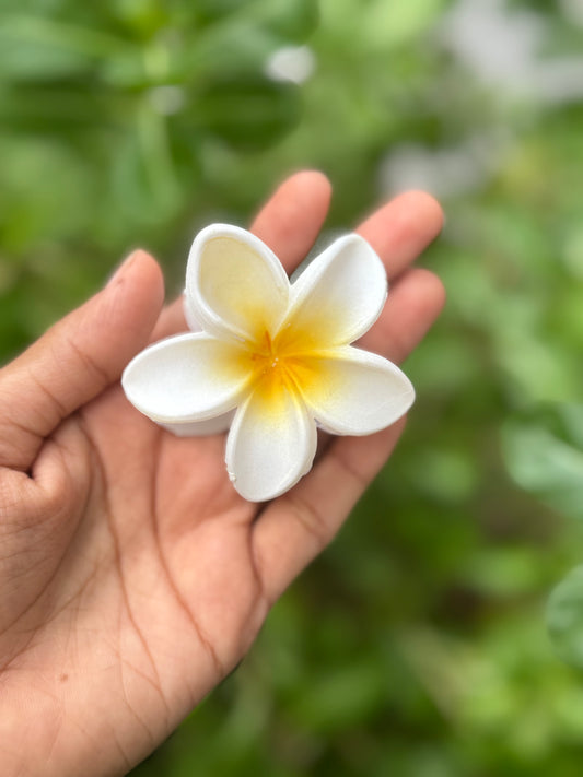 மேட் ஹவாய்