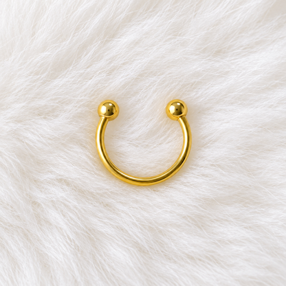 Horseshoe hoop(Gold)