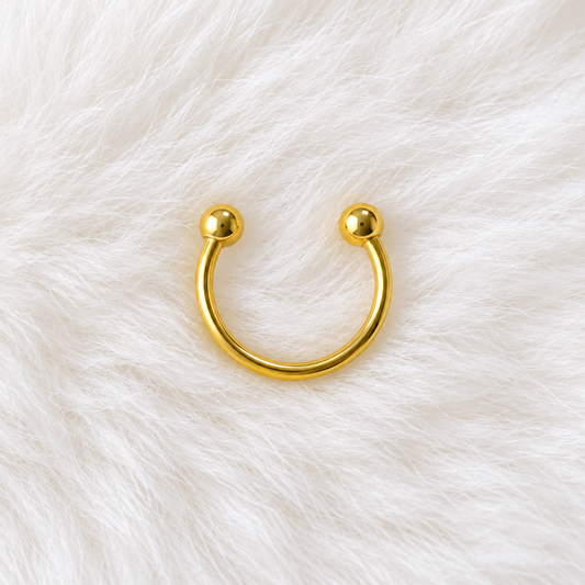 Horseshoe hoop(Gold)