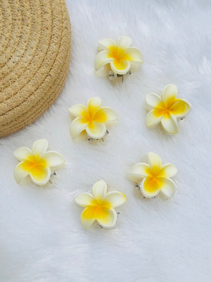 Small Hawai