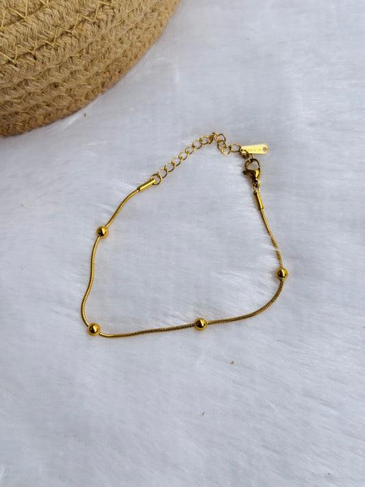 Bracelets/Anklet