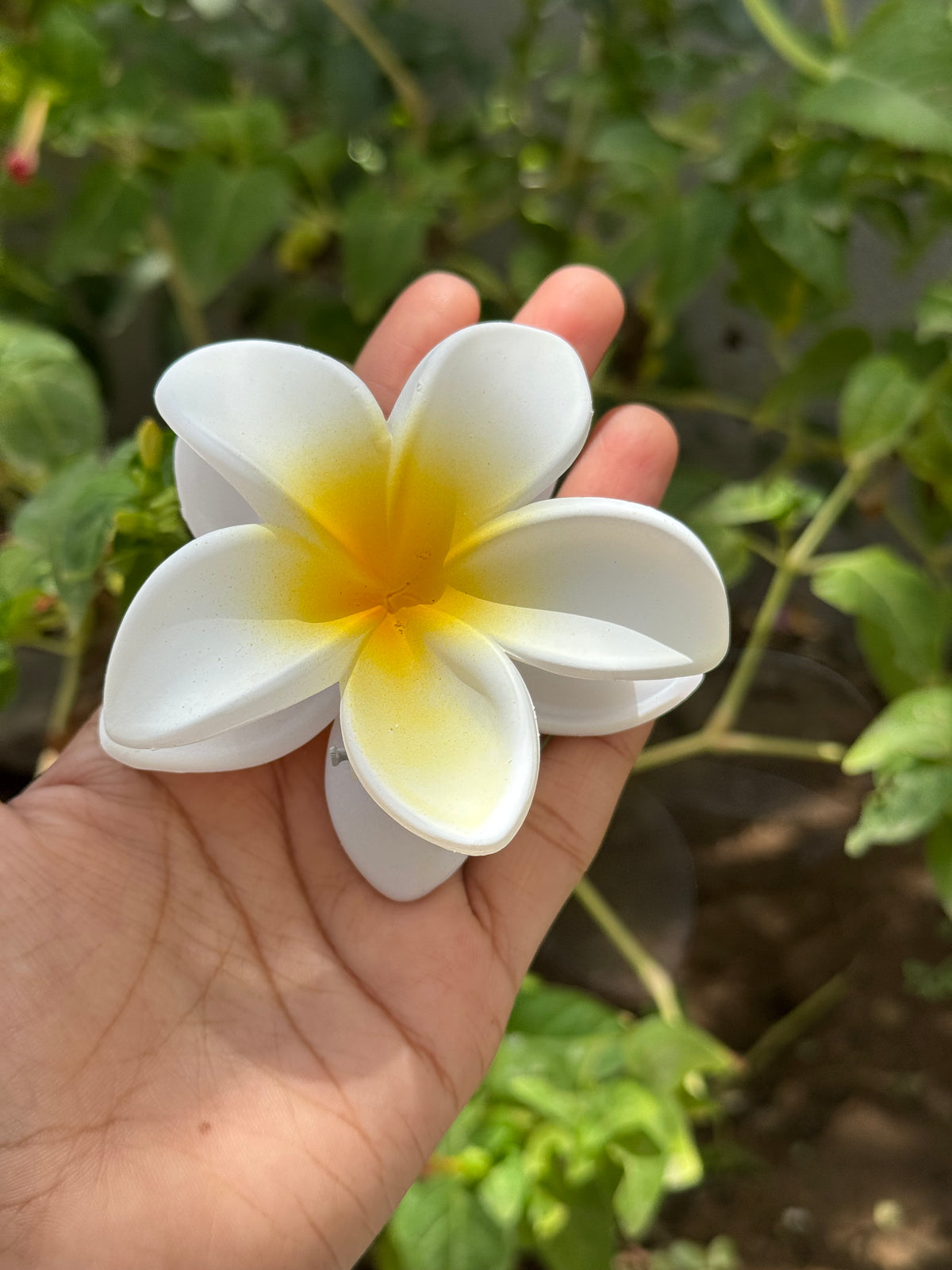 பிரபலமான மேட் மலர்