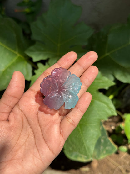 Dual hibiscus claw
