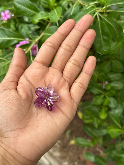 மினி கிராக்கர் கிளிப்புகள்