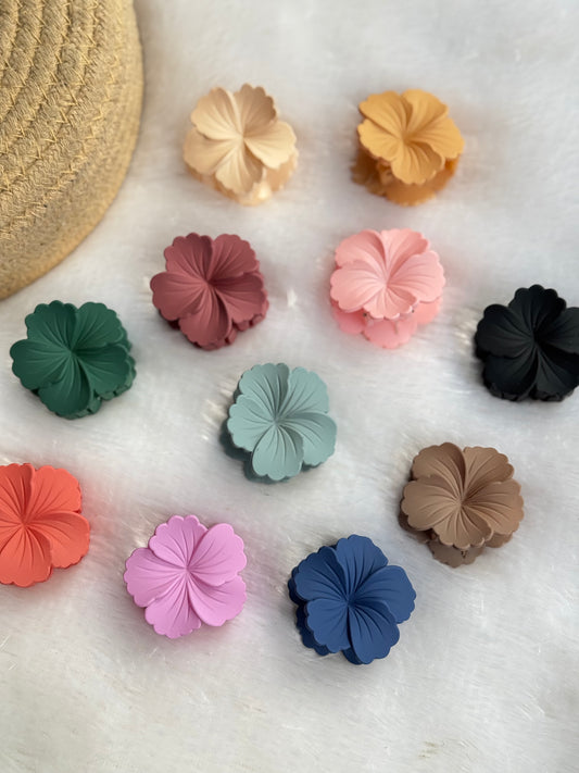 Small hibiscus