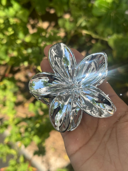 ஃபாயில் பிக் கிளா