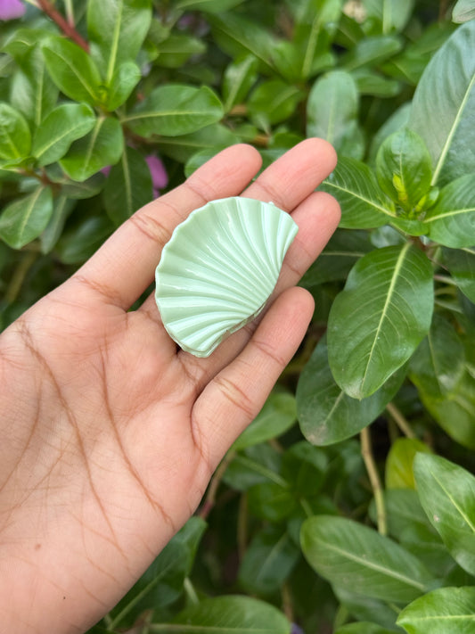 Small shell claw