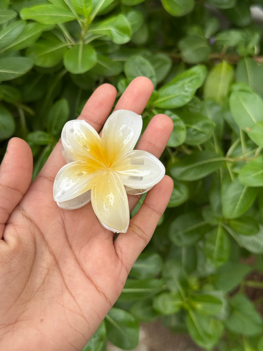 மீடியம் ஹவாய்