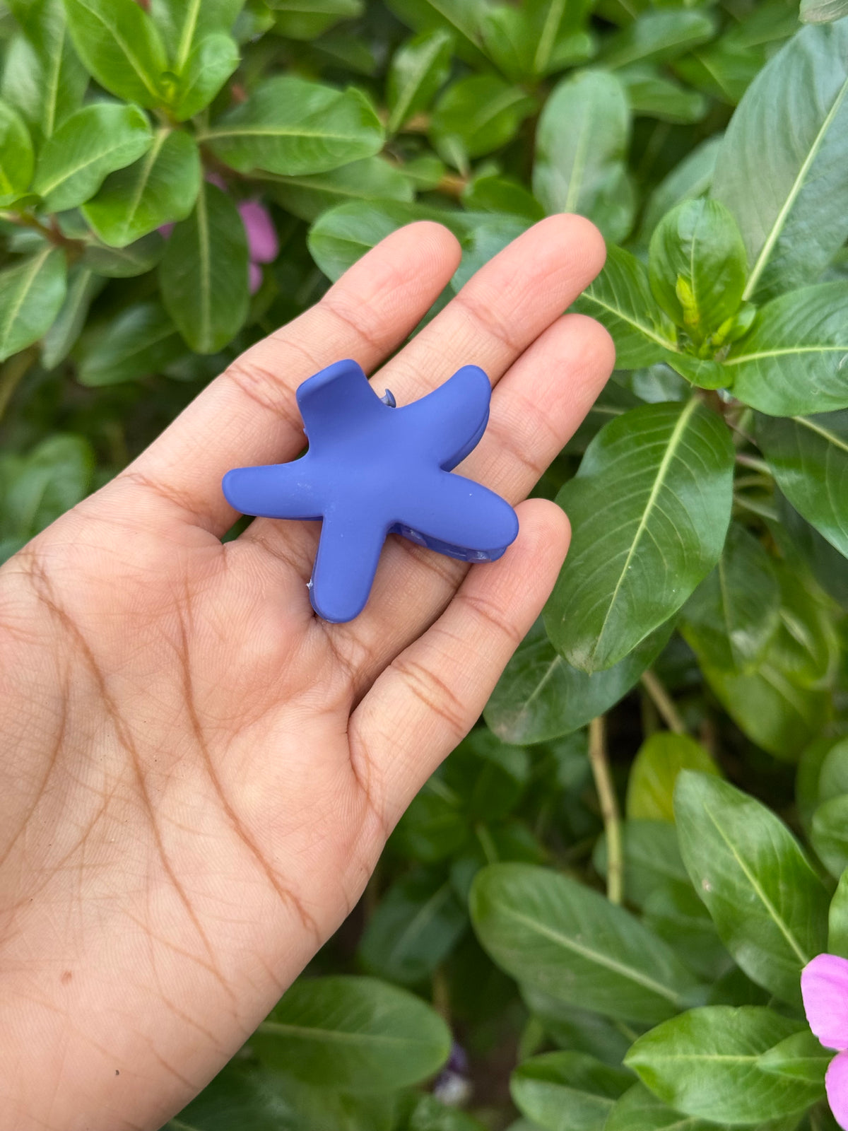 Star fish claw
