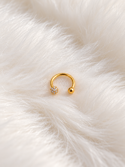 Horseshoe hoop(Gold)