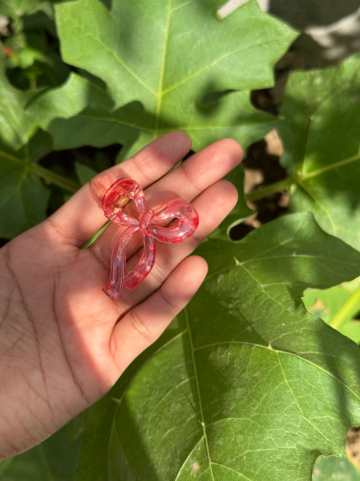 Glassy Bow Claw