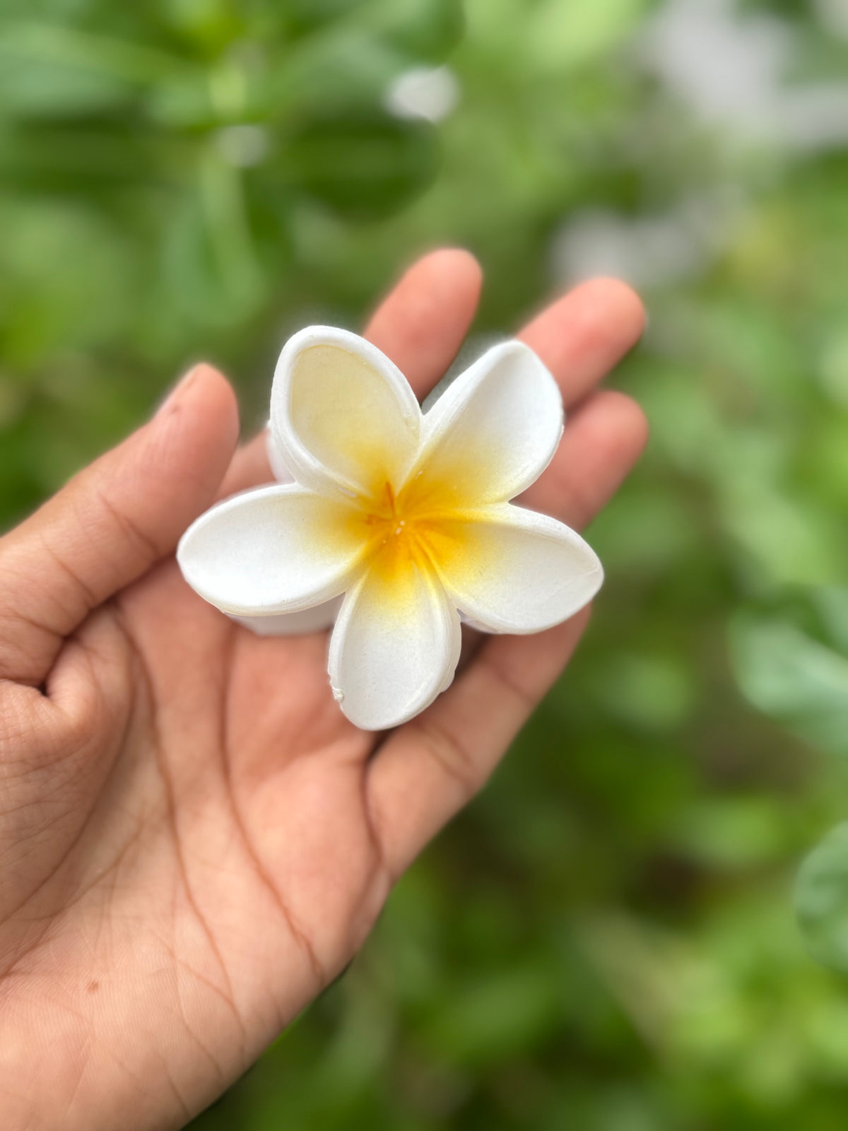 மேட் ஹவாய்