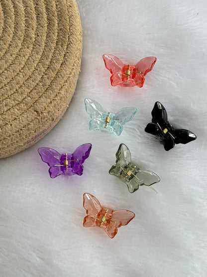 Glassy butterfly