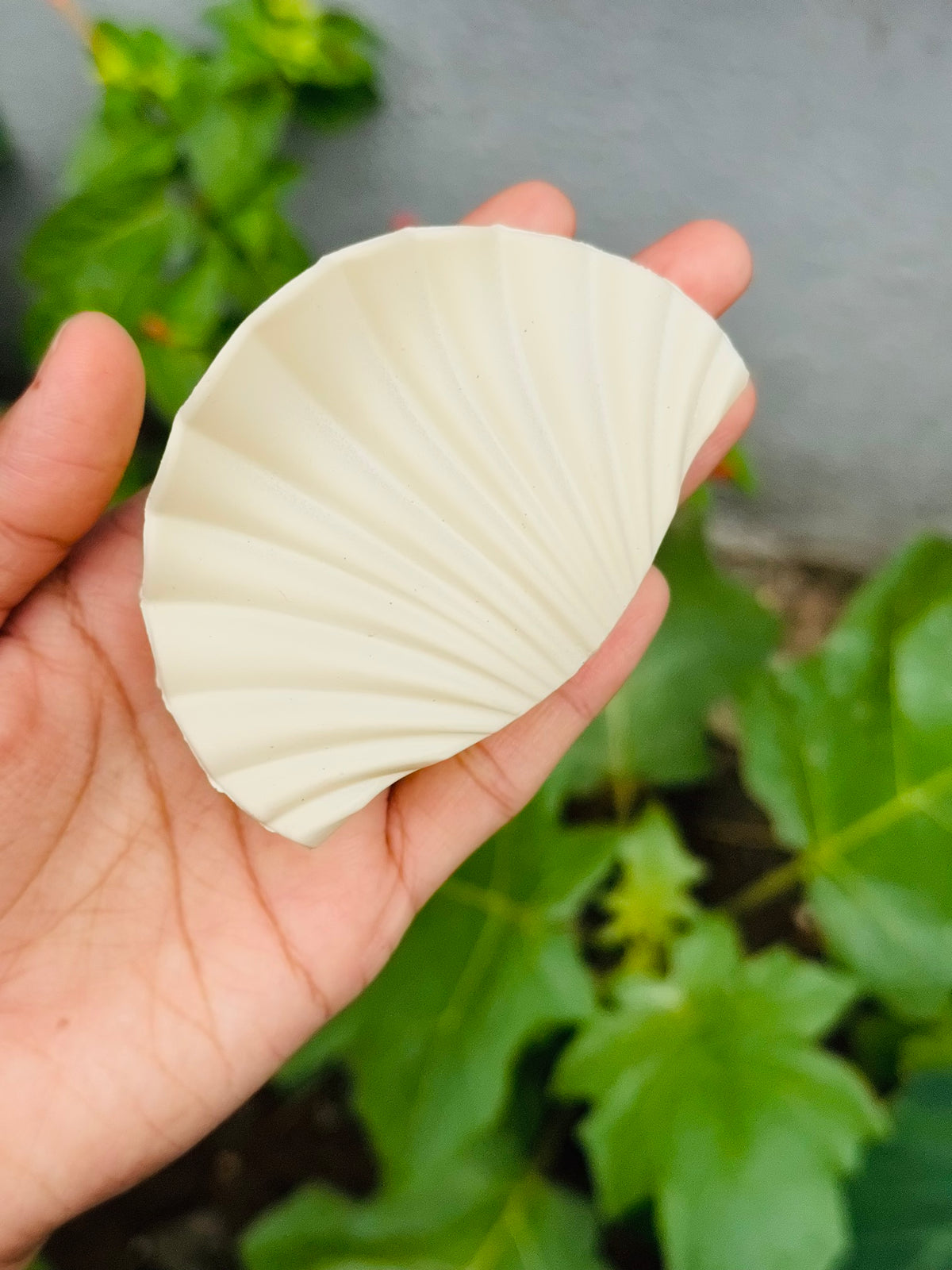 Shell claw