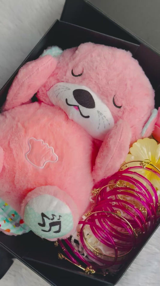 Teddy hamper